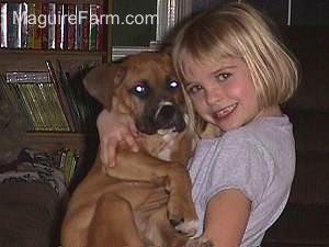 A Blonde Girl is holding tan Boxer puppy close to her and in the air