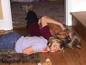 A Blonde haired girl and a maroon shirt girl are laying on a floor and fawn Boxer dog is in the arms of the girl in the maroon shirt.