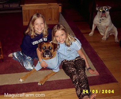 Two blonde haired girls are on each side of a fawn Boxer dog hugging it. A White Bulldog is in the background. They are in a living room