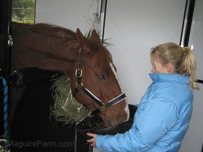 A blonde-haired girl in a blue coat is holding a black bucket filled with feed as the horse eats it.