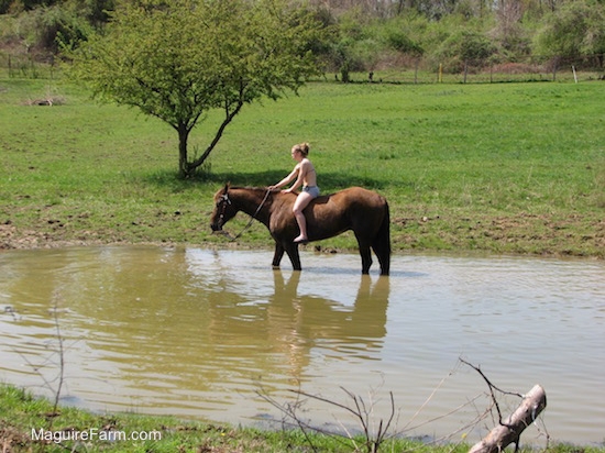 A blonde-haired girl riding her horse into a pond.