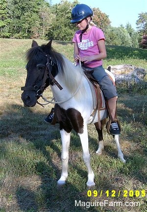 A girl in a pink shirt and blue helmet is sitting on the back of a brown and white paint pony with a log laying in the ground behind them.