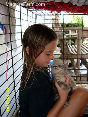 A little girl inside of a dog crate holding a little gray kitten that is looking back at her.