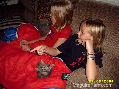 Two blonde girls sitting on a brown couch with a red sleeping bag across their legs. On the sleeping bag is a tiny gray kitten.