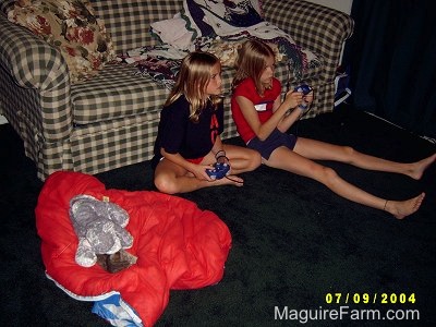 Two blonde girls leaning against a plaid green and white couch on a green carpet playing Nintendo. There is a red sleeping bag next to them that has a stuffed plush toy and a little gray kitten on it.