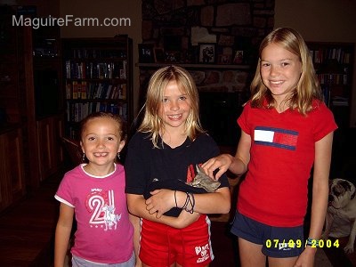 Three kids standing in a living room smiling. The girl in the middle is holding a little gray kitten in her shirt. The girl on the right is petting the kittens head.