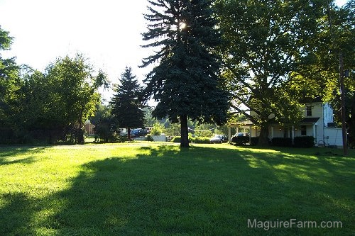 A white farm house view from the front yard looking up