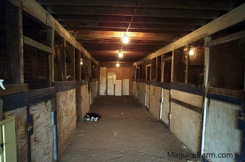 The Inside of a barn from the 1800s lined with stables. There is a black and white cat eating out of a food bowl