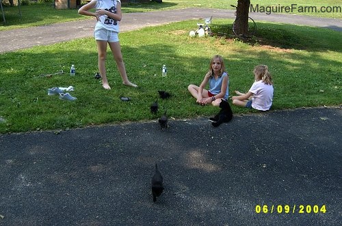 Three kids in a driveway surrounded by a bunch of kittens running around them.