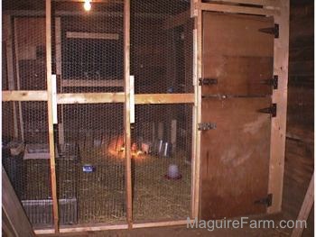 The new keet coop inside of a chicken coop barn. It has a wooden door and a wire mesh wall strengthened by wood beams.