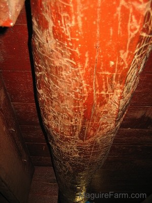 Close up - Old Basement Beam