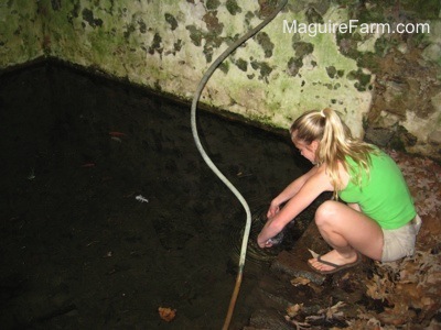 A blonde-haired girl in a green shirt is adding more fish to the springhouse