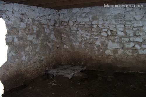 The inside corner of a stone wall in the springhouse