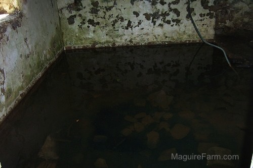 The water inside of the old stone springhouse