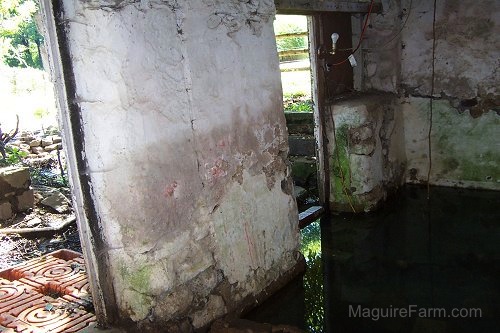 The inside of an old stone springhouse with water inside of it. There is a light next to the doorway.