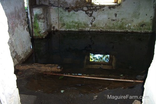 Inside View of the Springhouse. There is a pool of water in it