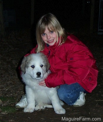 A blonde haired girl with a red jacket is squatting next to A Great Pyrenees puppy at night. The puppy is sitting in a field next to the child.