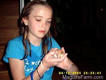 A blonde girl wearing a teal blue shirt holding a tiny newborn orange kitten.