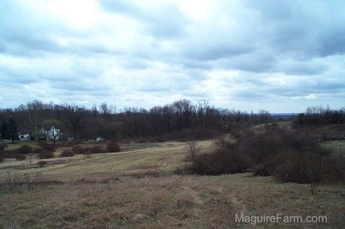 A view of a field with a white house to the left