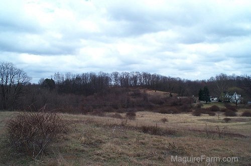 There is a white house on the bottom right of a field.