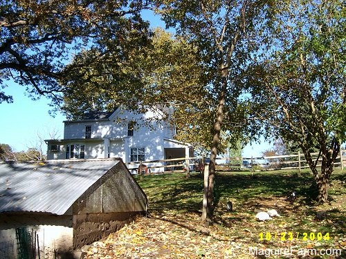 There is an old stone springhouse in the foreground and a white farm house in the background. There is a split rail wooden fence in between the house and Springhouse with a couple of white turkeys grazing on the ground.
