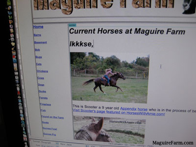 A computer screen showing the Maguire Farm website with Amie riding Scooter the horse and Scooters head in the picture below.