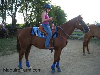 A blonde-haired girl in a pink shirt is on her phone while on top of a tacked up brown with white horse. The back end of a tan horse is in the image